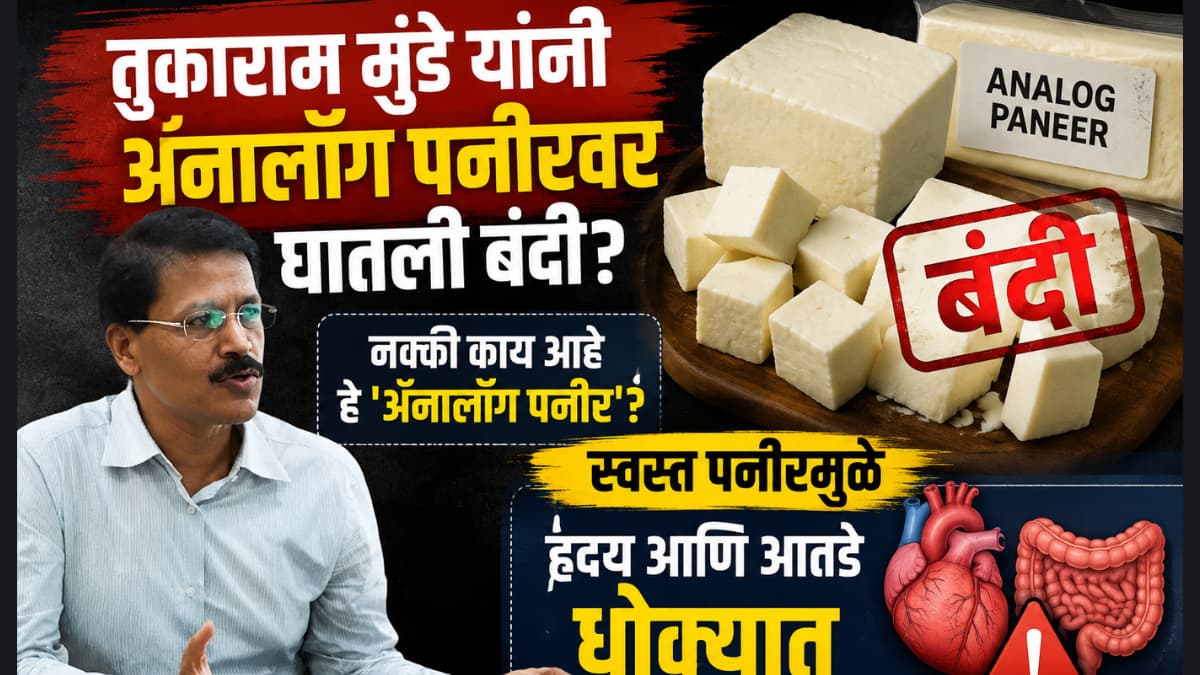 Analog Paneer Ban: अॅनालॉग पनीरवर बंदी घातली