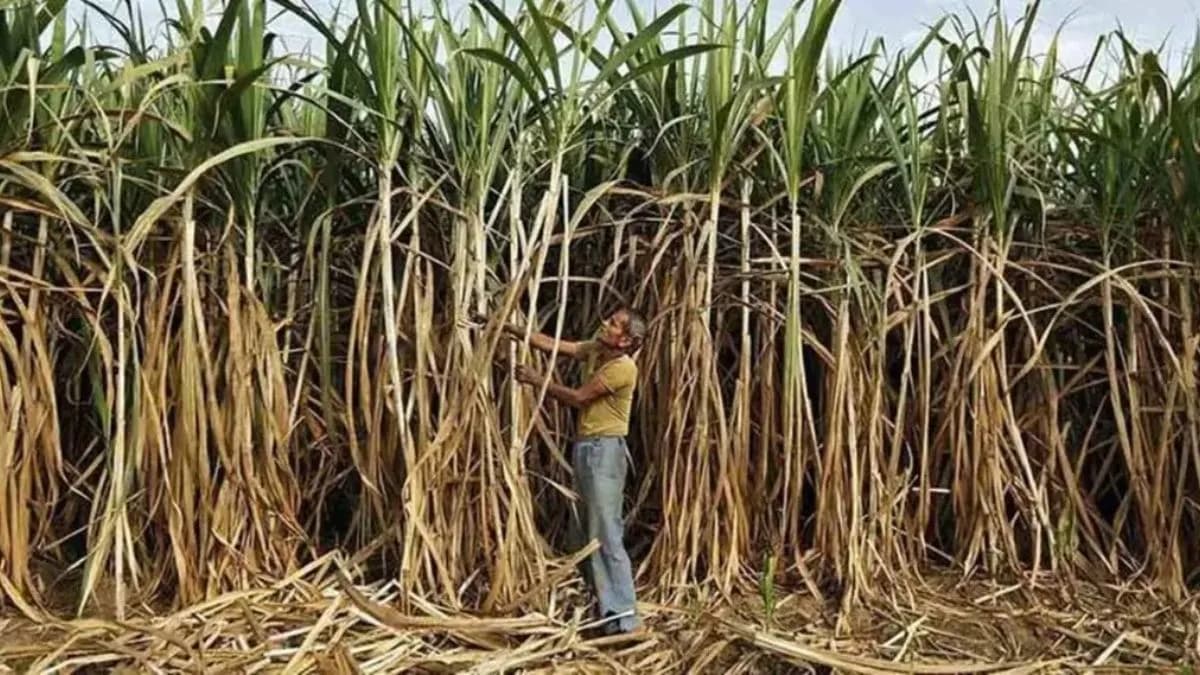 Agricultural Challenges in Marathwada:मराठवाड्यातील कृषी आव्हाने