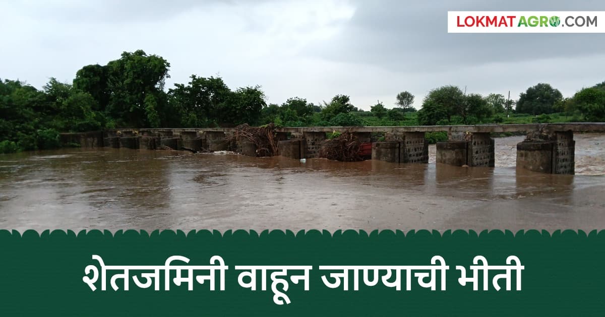 Flood Threat to Farmers: दुधना नदीकाठच्या शेतकऱ्यांवर संकट; निकृष्ट बंधाऱ्यामुळे सुपीक जमीन वाहून जाण्याची भीती