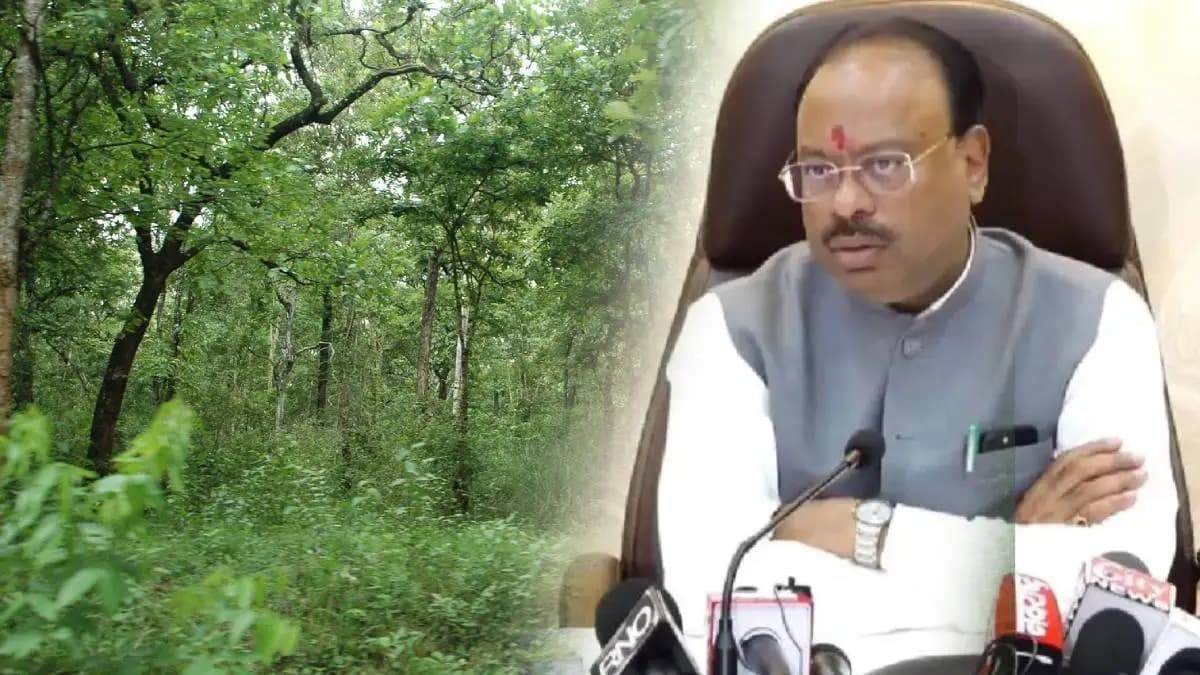 Land Dispute in Thane:ठाण्यातील एक हजार एकर जमीन वनविभागाचीच