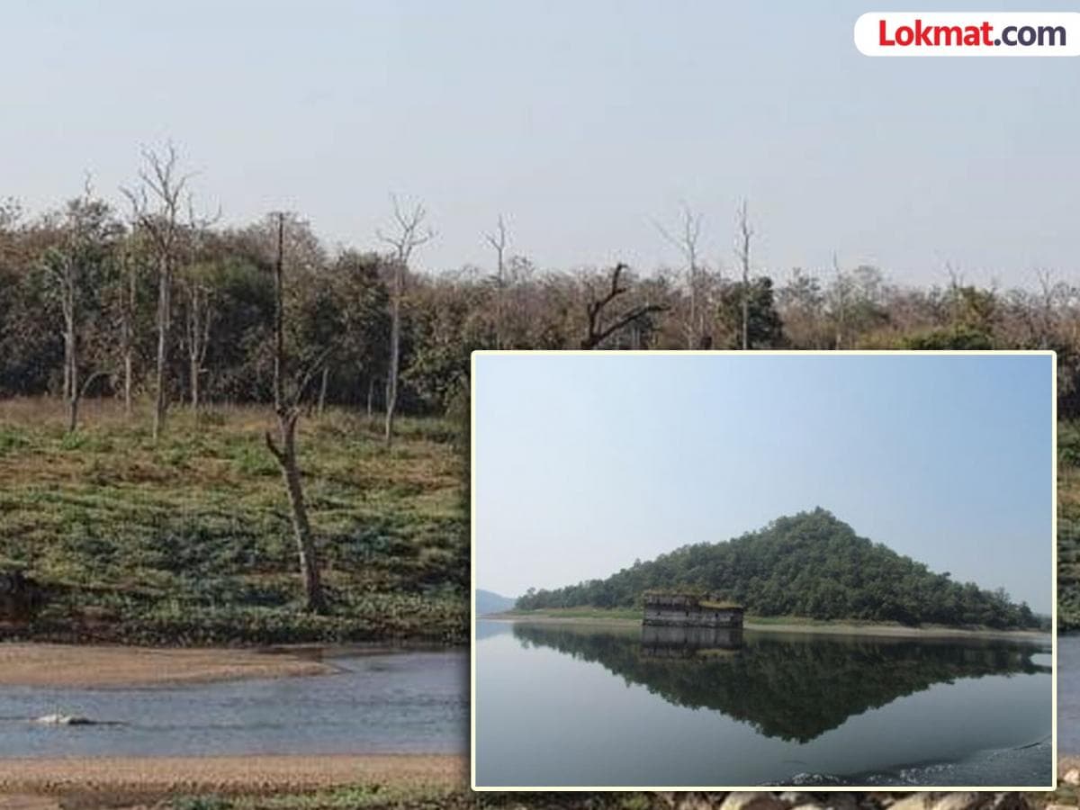 Boost for Eco-Tourism:गोव्यात इको-टुरिझमला वेग!