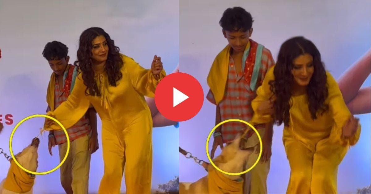 Dog Attack Incident:रवीना टंडनचा कुत्र्याच्या हल्ल्यात थोडक्यात बचाव