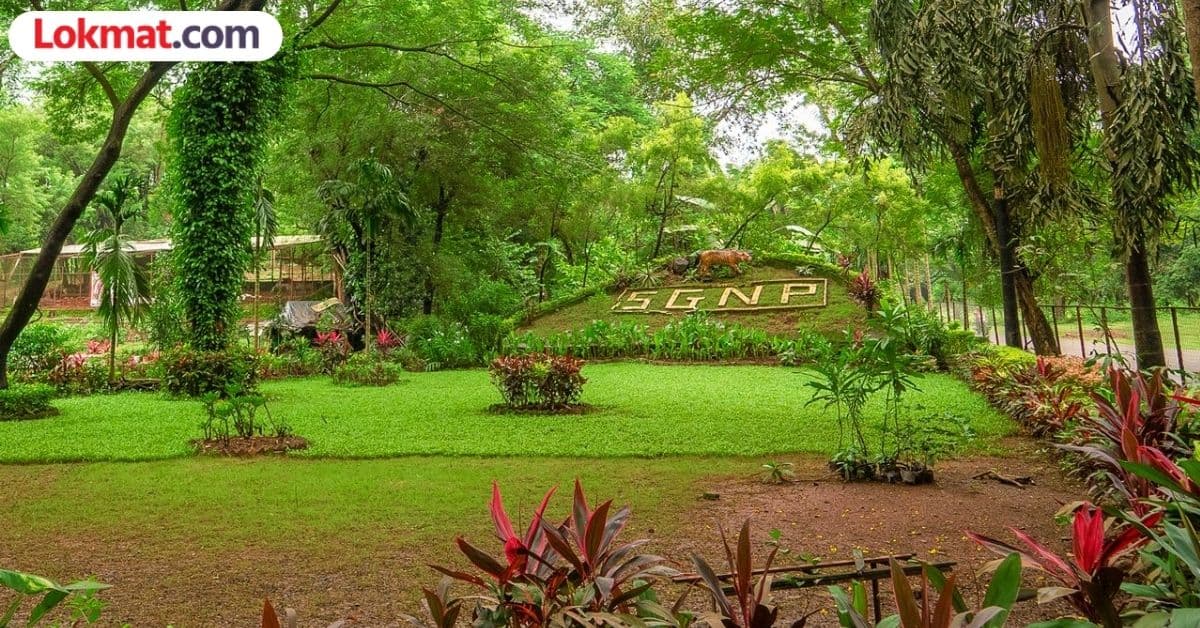 National Park Land Rights:संजय गांधी राष्ट्रीय उद्यानाची वनजमीन वनविभागाच्या ताब्यात