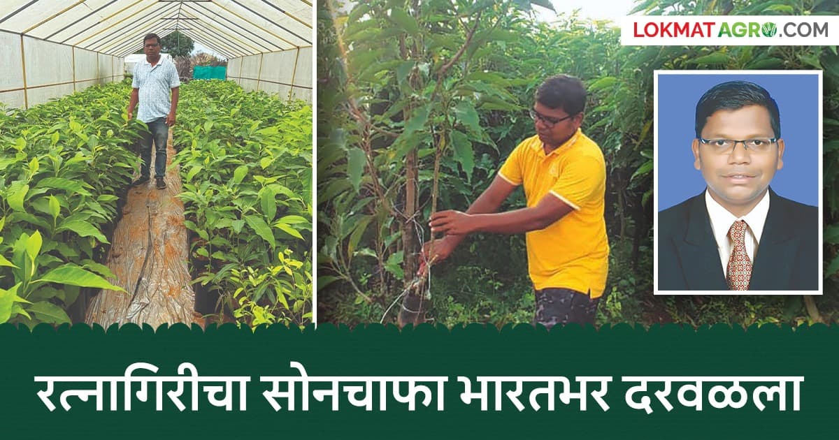 Young Entrepreneur in Ratnagiri: प्रतीक कळंबटेची यशोगाथा