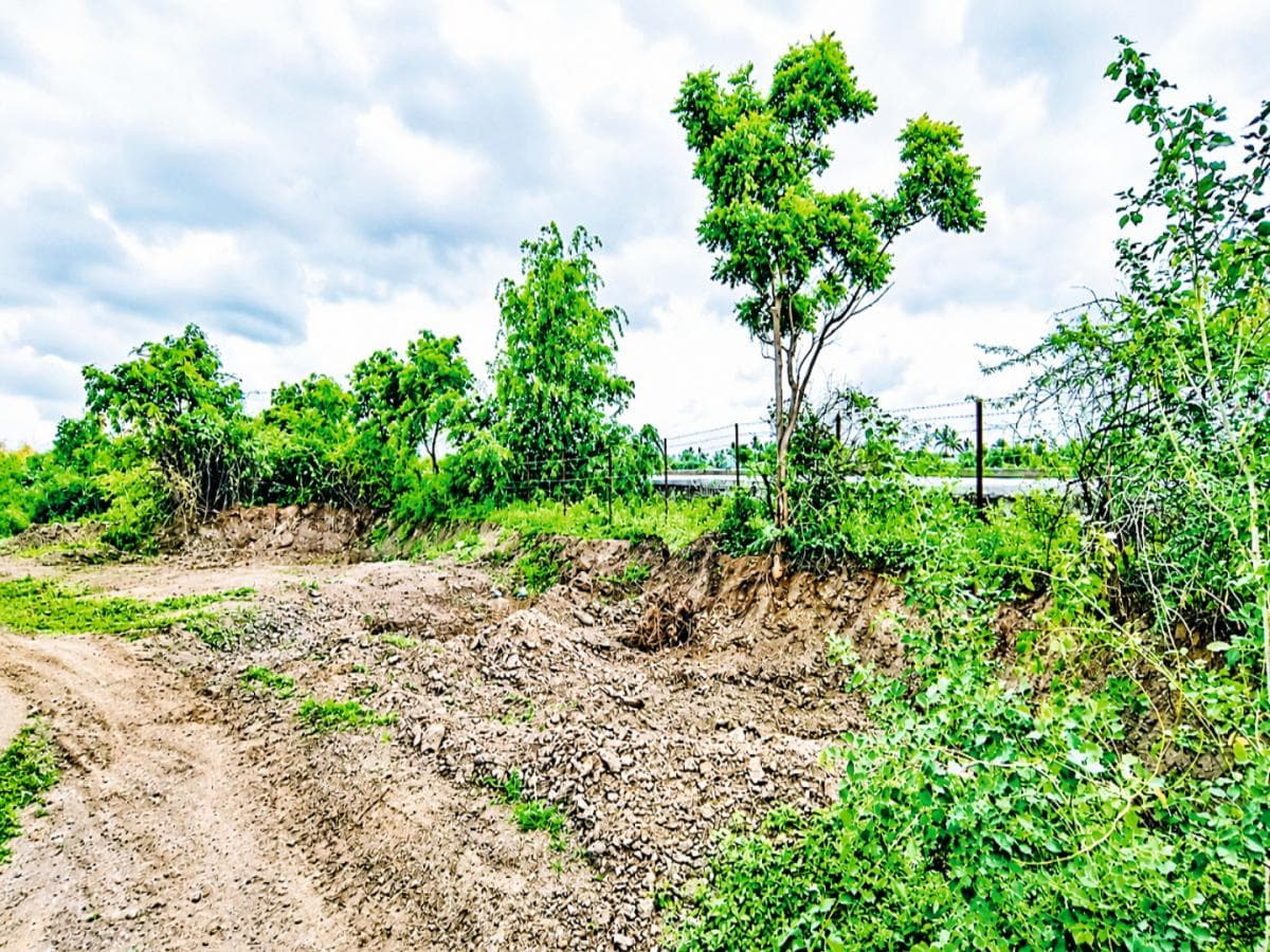 Illegal Sand Mining in Zhargadwadi: झारगडवाडीत मुरूम माफियांचा धुमाकूळ; डॅमलगत उत्खननाने पाणीपुरवठा योजनेवर संकट