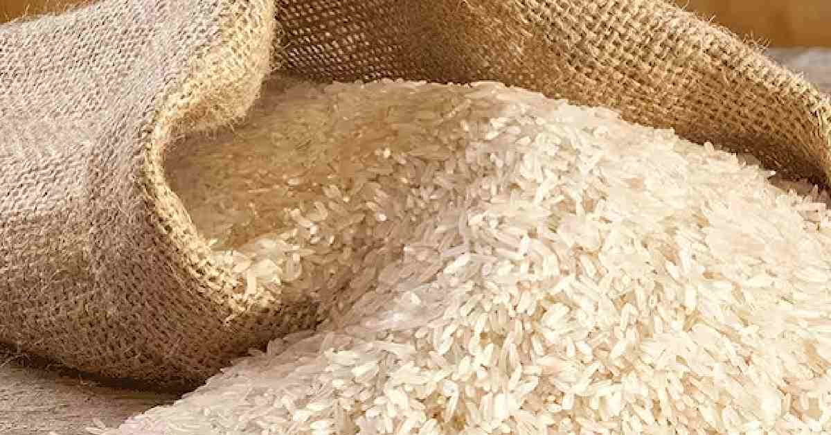 Rice Export Growth: विदर्भातील तांदळाच्या निर्यातीत ५०० कोटींची वाढ