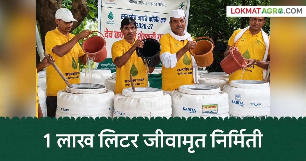 Special Campaign for Organic Fertilizer: नाशिकच्या 80 शेतकरी गटांमार्फत एकाच दिवशी एक लाख लिटर जीवामृत निर्मिती