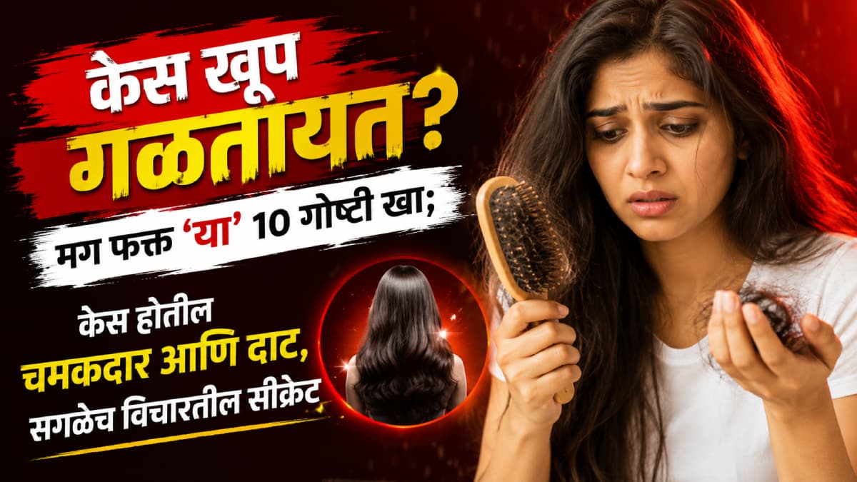 Hair Fall Control Food:केस गळती थांबवण्यासाठी खाण्याच्या १० गोष्टी