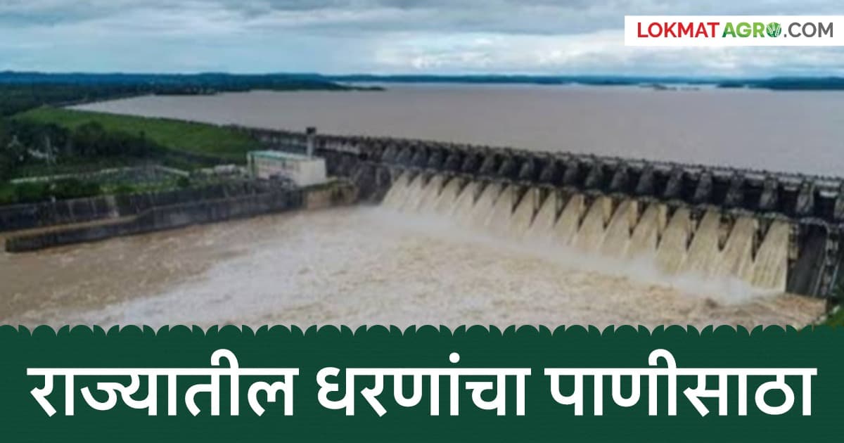 Maharashtra Dam Storage:राज्यातील धरणांचा पाणीसाठा कसा आहे?