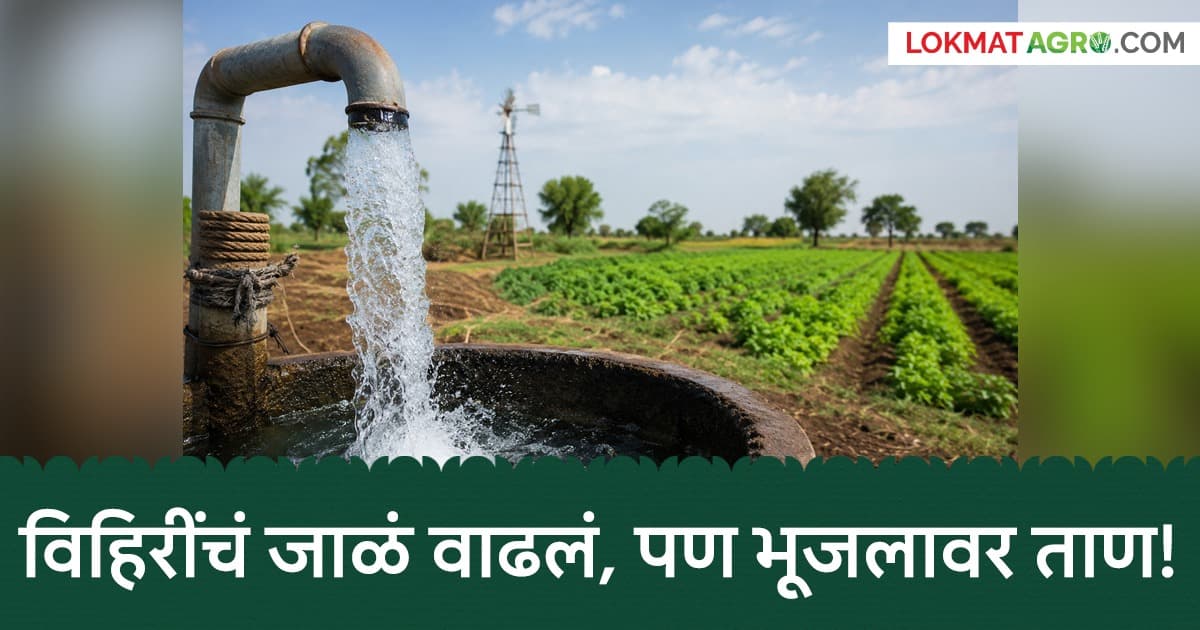 Groundwater Assessment: भूजल मूल्यांकन-२०२५ अहवालानुसार २४.५१ लाख विहिरींमधून भूजल उपसा