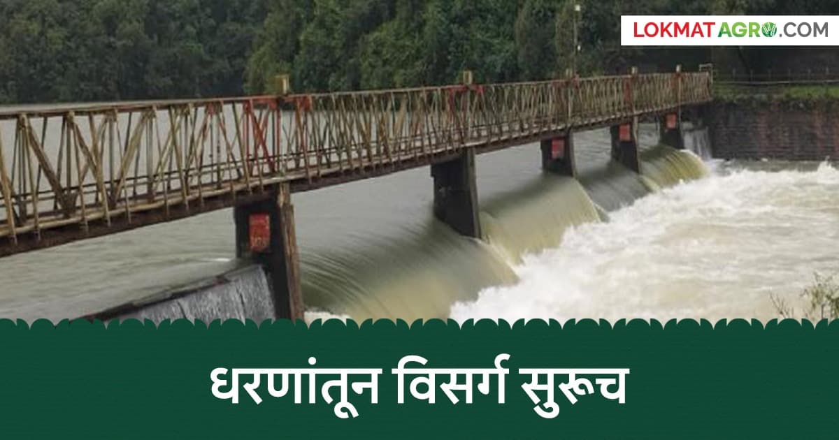 Water Release Continues from Radhanagari: राधानगरीच्या दोन दरवाज्यातून विसर्ग सुरूच