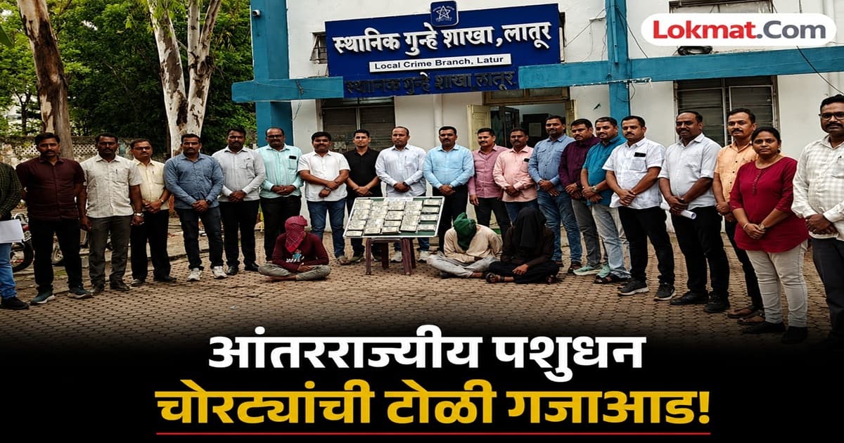 Interstate Cattle Thieves Arrested: लातूर 'LCB' ने आंतरराज्यीय पशुधन चोरट्यांची टोळी पकडली; २४ लाख जप्त, ४१ गुन्हे उघड