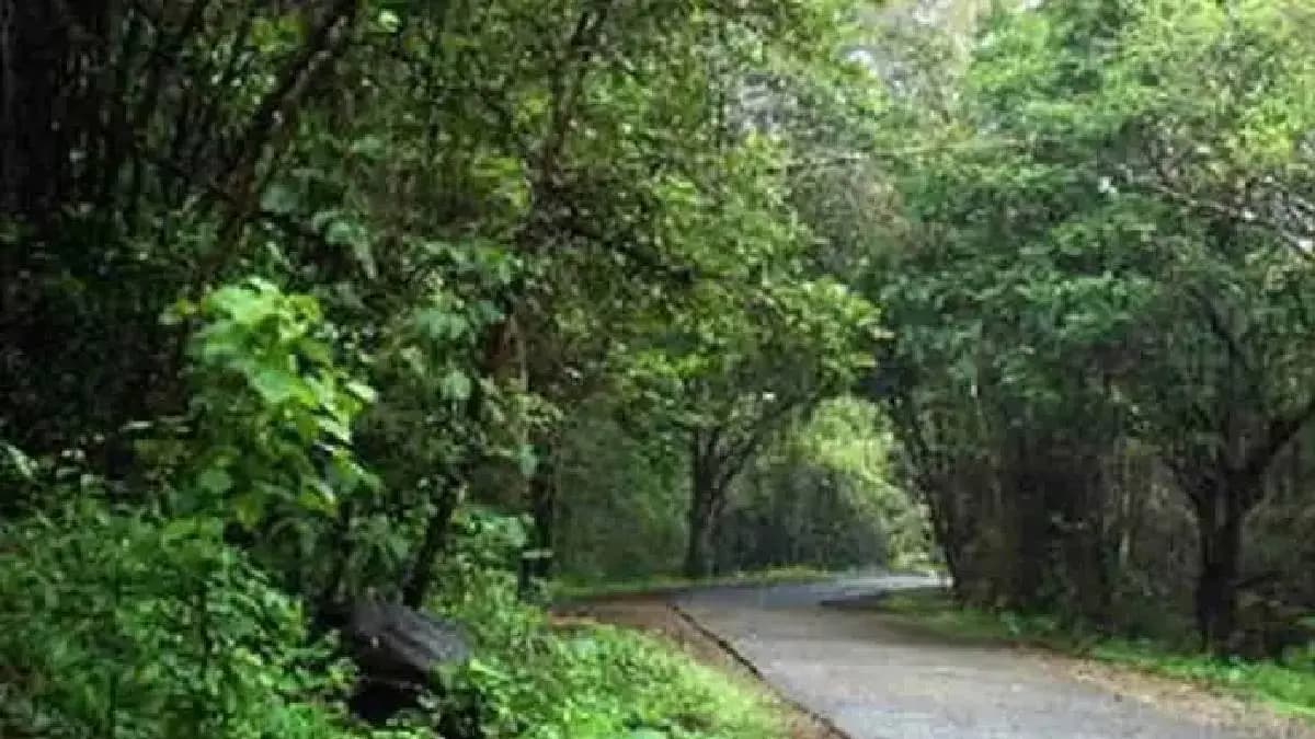 Demand for White Paper on 193 Acres of Land: राष्ट्रवादी शरद पवार गटाची मागणी