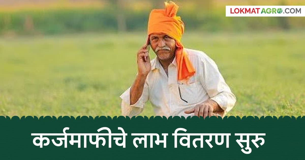 Loan Waiver: कर्जमाफीचा पहिला हफ्ता शेतकऱ्यांच्या खात्यावर, कोणत्या विभागाला किती पैसे मिळाले?