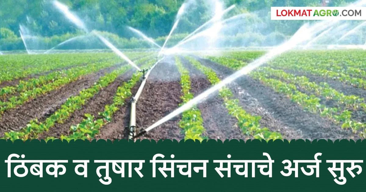 Grant for Drip Irrigation: ठिबक व तुषार सिंचनासाठी 90% अनुदान उपलब्ध
