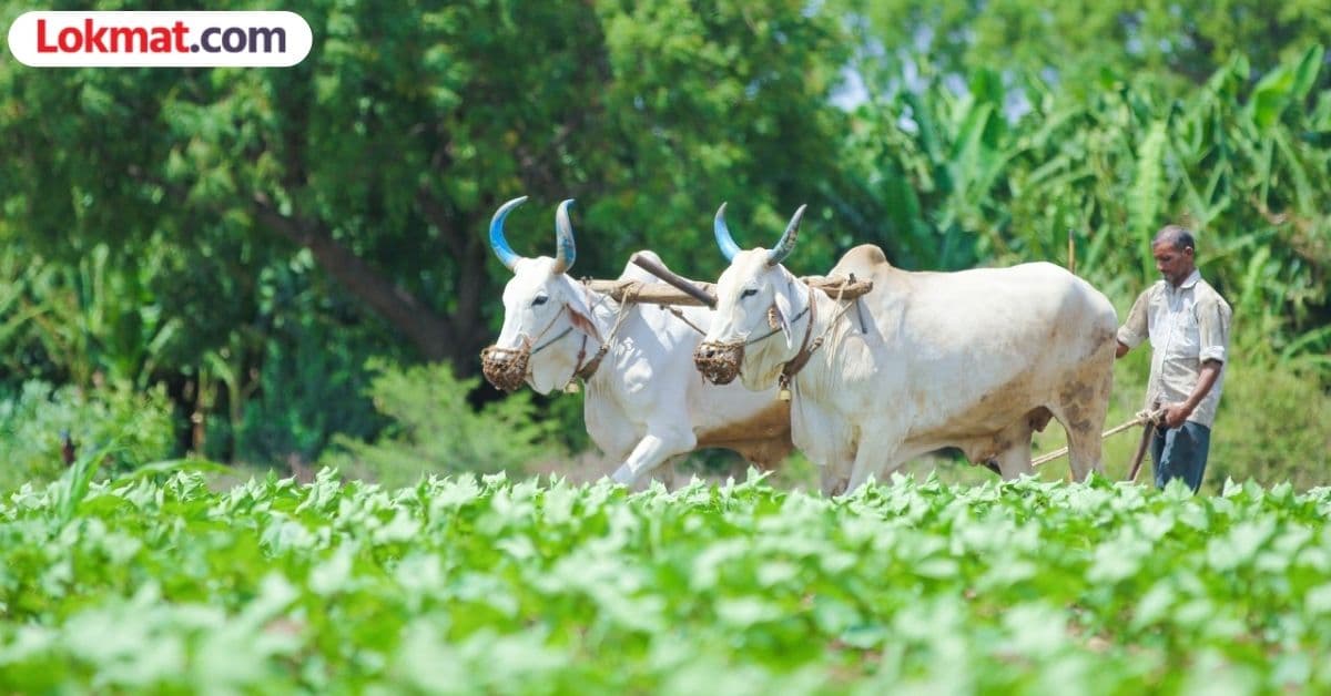 Loan Waiver Scrutiny:२,०८८ लोकप्रतिनिधींच्या कर्जखाती अपात्र ठरल्या