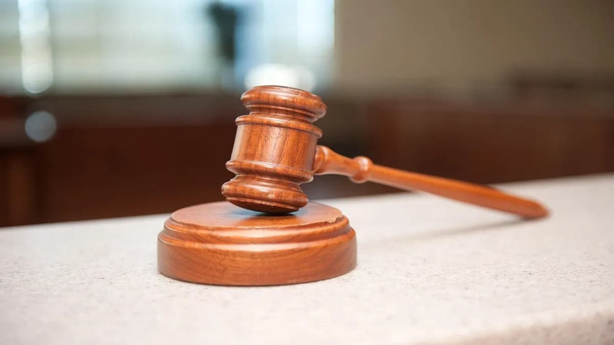 Court Denies Bail: टीस कॅम्पसमध्ये जी. एन. साईबाबा यांना श्रद्धांजलीचे प्रकरण