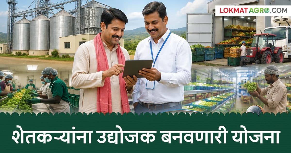 AIF Scheme: शेतकऱ्यांना २ कोटींपर्यंत विनातारण कर्ज! ७ वर्षांसाठी ३% व्याज सवलत; जाणून घ्या सविस्तर योजना