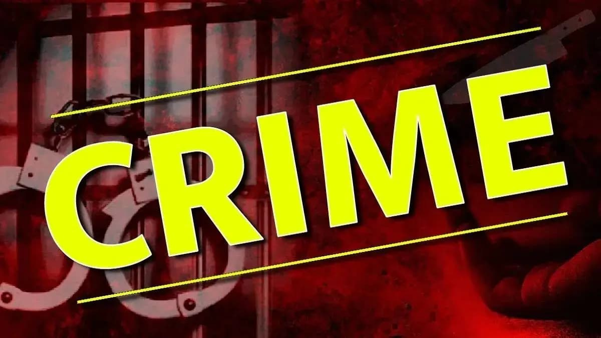 Shocking Case in Nagpur: ठाण्यातील मानसोपचार तज्ञांच्या मुलाच्या क्रौर्याने नागपूर पोलिसही चकीत
