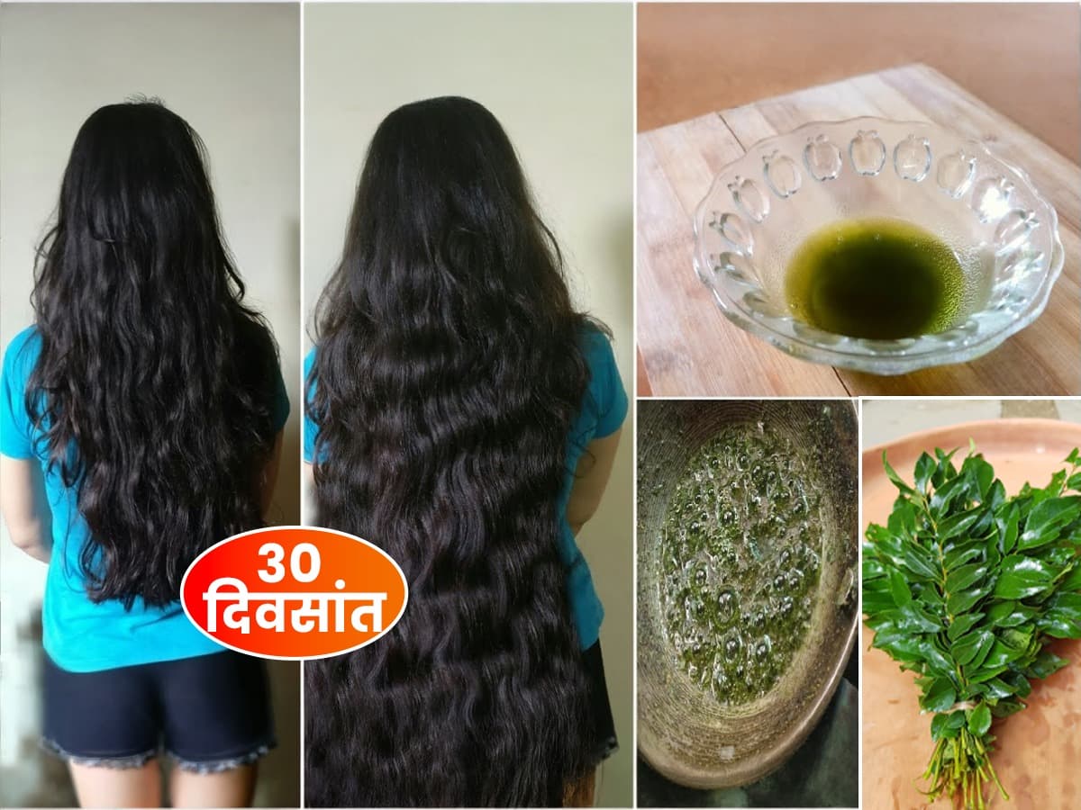 Natural Hair Care: केसांना लावा कडीपत्त्याचं हिरवंगार तेल!