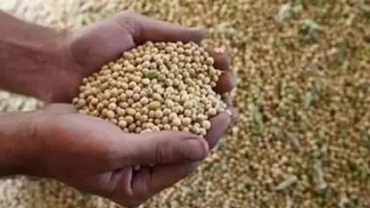Irregularities in Soybean Purchase: सोयाबीन खरेदीतील अनियमिततेवर कारवाईचे आदेश