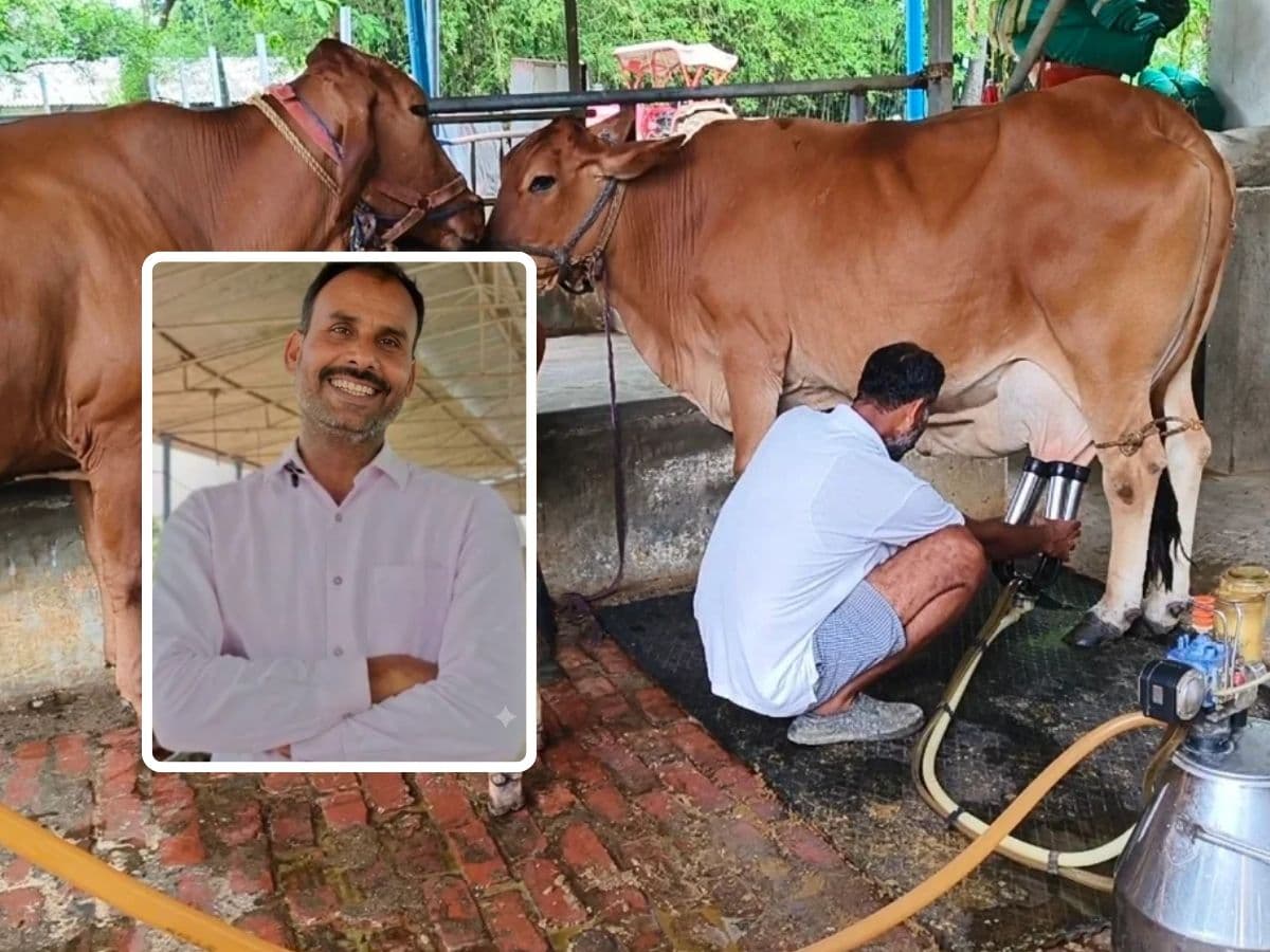Inspiring Journey:कॅन्सरच्या उपचारासाठी गायींचा आधार