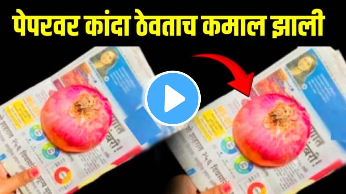 Kitchen Jugaad:पावसाळ्यात पेपरवर कांदा ठेवताच कमाल झाली; मोठ्या समस्येवर उपाय, काय ते VIDEO मध्ये पाहाच