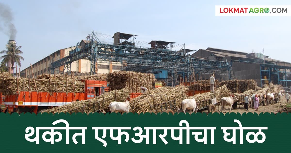 Sugar Factory Issues: साखर कारखान्यांकडून थकीत एफआरपीची चुकीची आकडेवारी