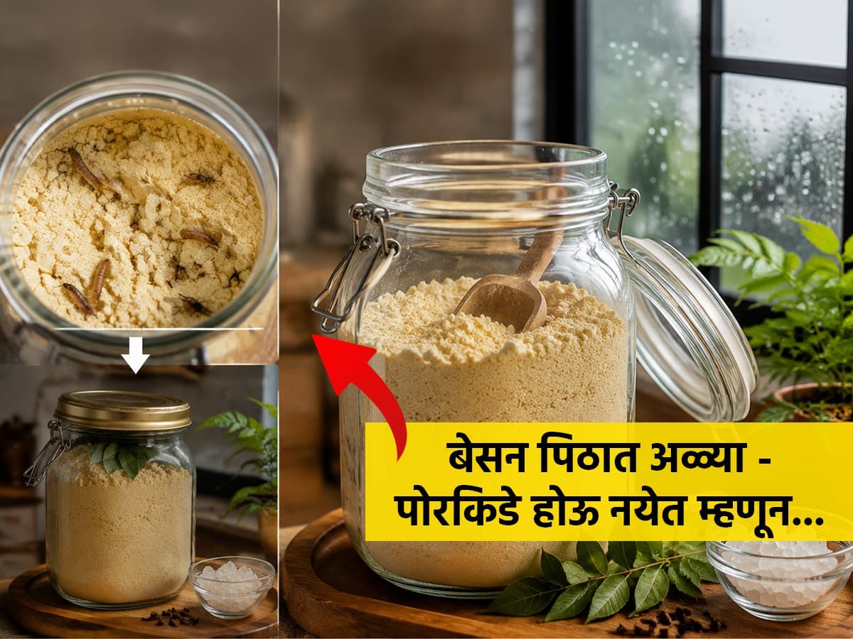 Rainy Season Tips:पावसाळ्यात बेसन पिठाचे योग्य साठवणूक कशी करावी