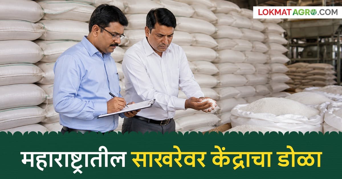Sugar Price Surge:केंद्र सरकार अलर्ट मोडवर; अहिल्यानगर जिल्ह्यात २१ साखर कारखान्यांची तपासणी