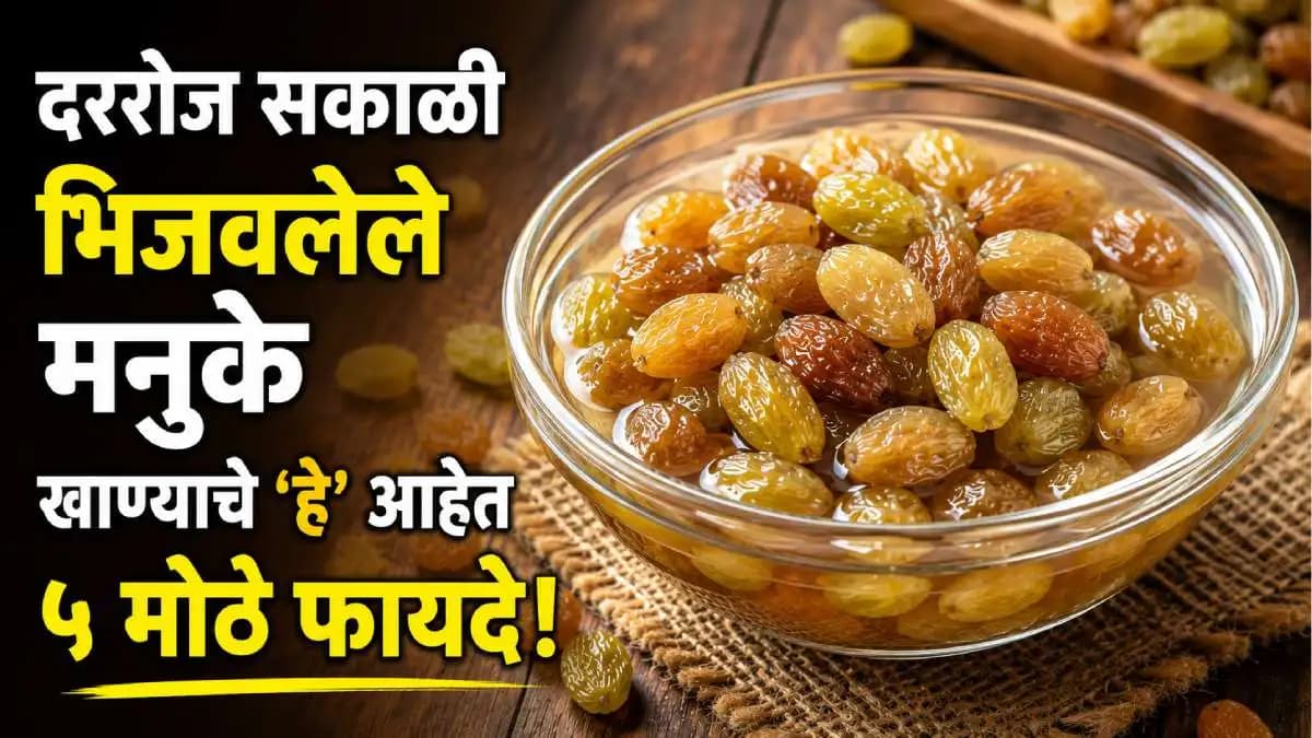 Soaked Raisins Benefits: रिकाम्या पोटी भिजवलेले मनुके खाण्याचे फायदे