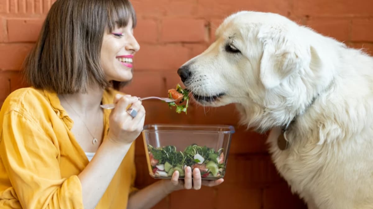 Pet Food Warning:पाळीव प्राण्यांना 'हे' पदार्थ चुकूनही खाऊ घालू नका!