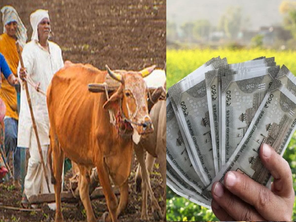 Loan Waiver: सांगली जिल्ह्यातील २१ हजार शेतकऱ्यांच्या खात्यांवर १५६ कोटी जमा