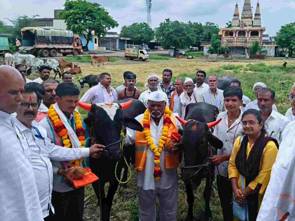 Dispute in Livestock Market:पशुधन बाजारात वादाची ठिणगी