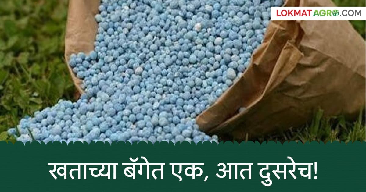 Fertilizer Scam: खताच्या बॅगेत एक, आत दुसरेच! शेतकऱ्यांची फसवणूक करणाऱ्यांवर कारवाई