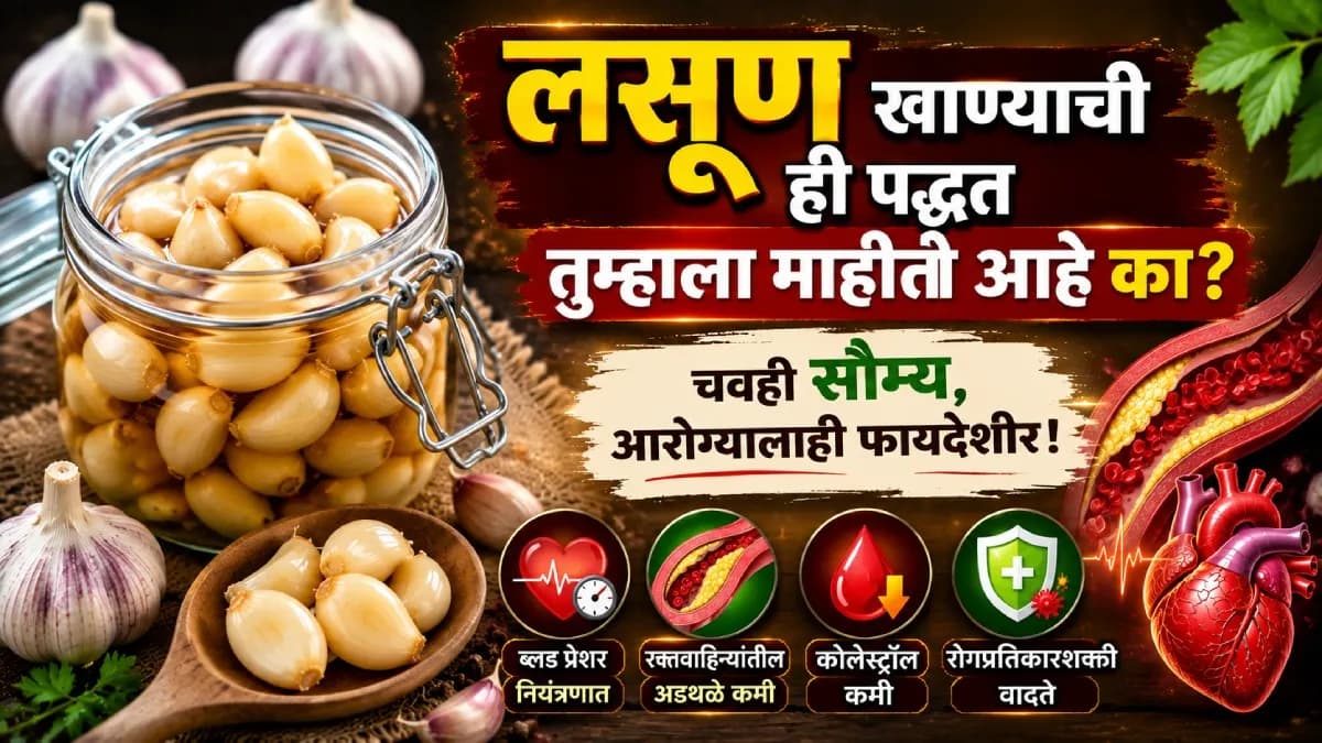 Fermented Garlic Health Benefits:आंबवलेला लसूण खाण्याचे आरोग्यदायी फायदे