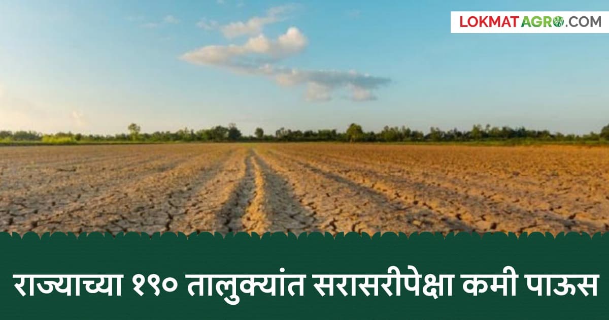 Rainfall Update:राज्यातील आठ तालुक्यांत पावसाची कमी नोंद