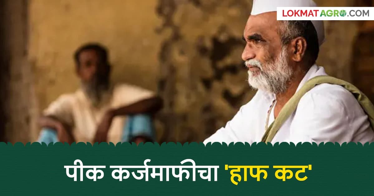 Loan Waiver Update: आधार प्रमाणीकरण झाले, पैसेही आले; पण कर्जखाते अजून 'बेबाक' नाही!