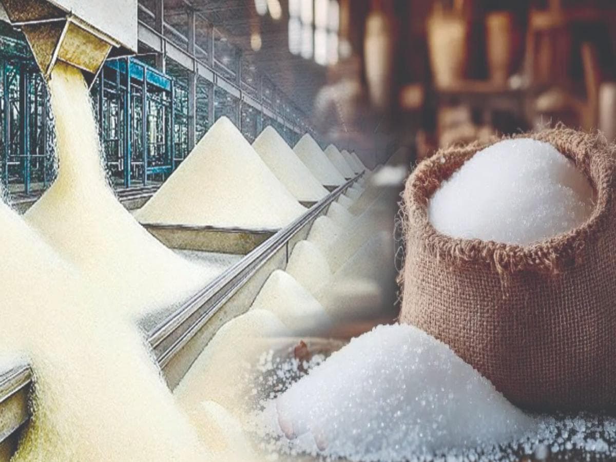 Sugar Industry Challenges:साखर उद्योगाच्या आव्हानांचा सामना कसा करावा