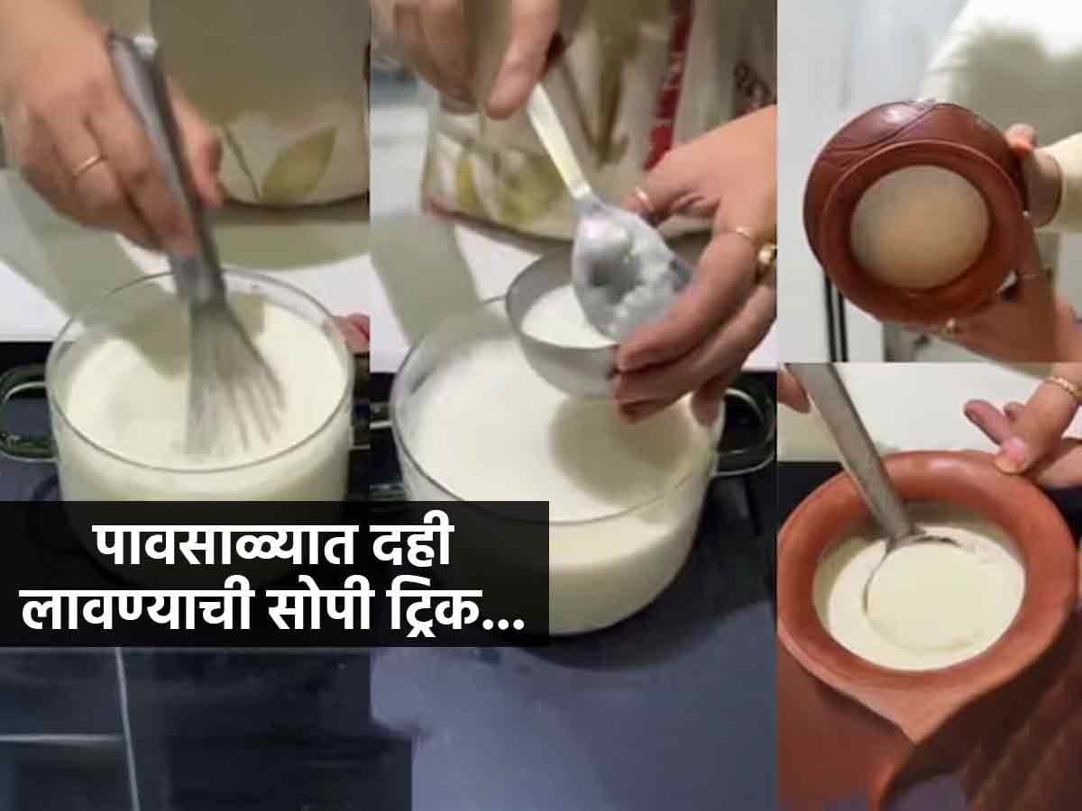 Making Thick Curd in Monsoon:पावसाळ्यात दाटसर दही तयार करण्याची सोपी पद्धत
