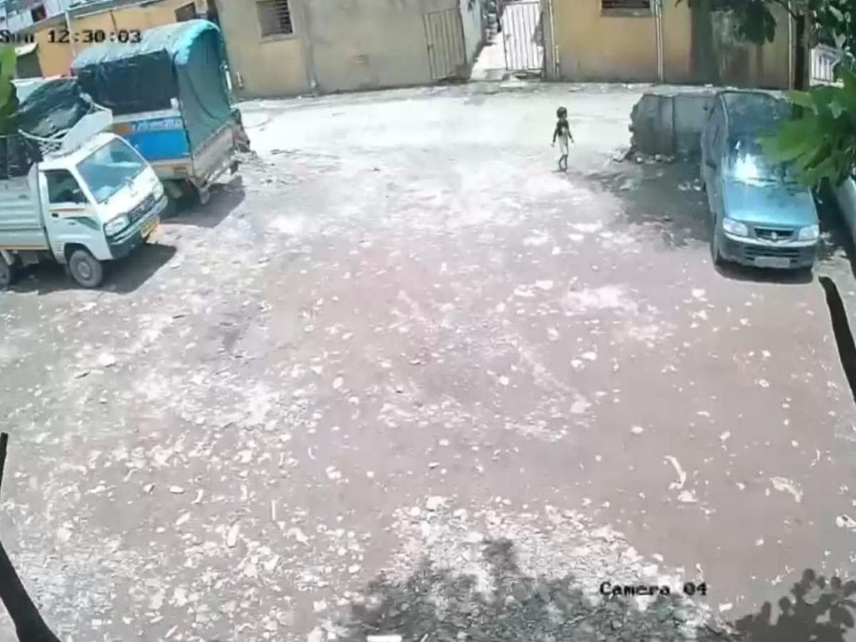 Dog Attack on 4-Year-Old:चार वर्षांच्या चिमुरडीवर कुत्र्यांचा जीवघेणा हल्ला
