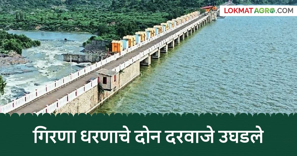 Water Release from Dahigaon Dam:दहिगाव बंधाऱ्यातून निम्न गिरणा कालव्यात सोडण्यात येणार पाणी