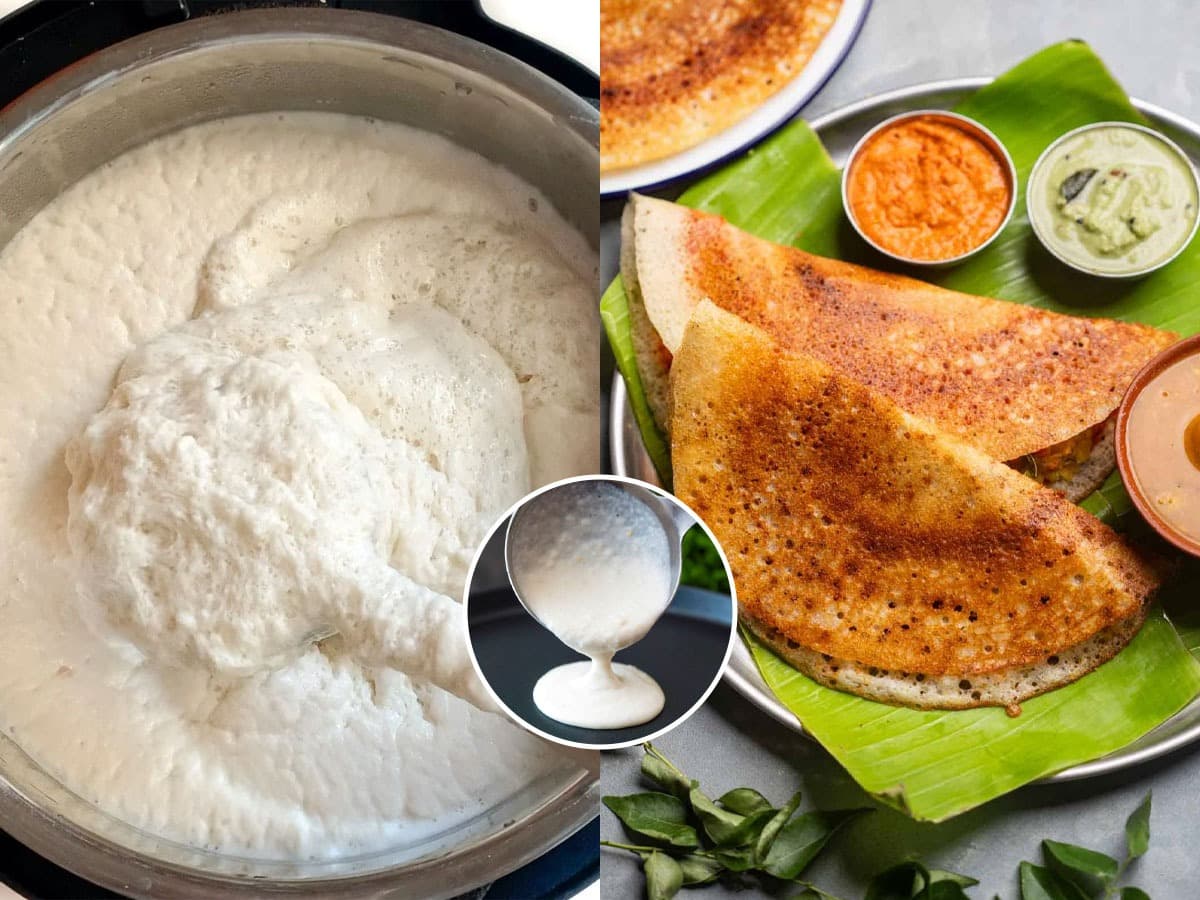 Making Crispy Masala Dosa: कुरकुरीत मसाला डोसा कसा बनवायचा