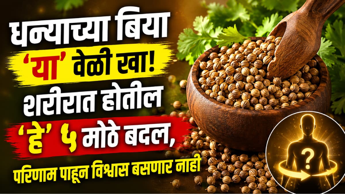 Coriander Seeds Benefits:धण्याच्या बियांचे फायदे
