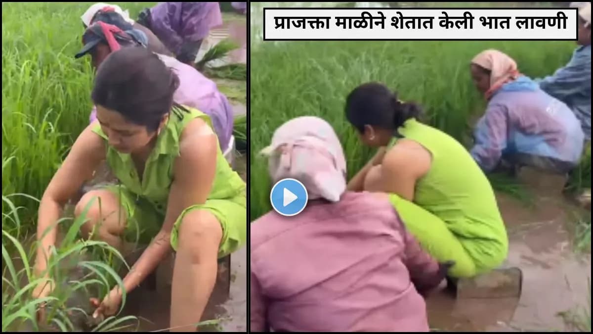 Birthday Celebration in the Fields:प्राजक्ता माळीने भात लावणी करत साजरा केला वाढदिवस