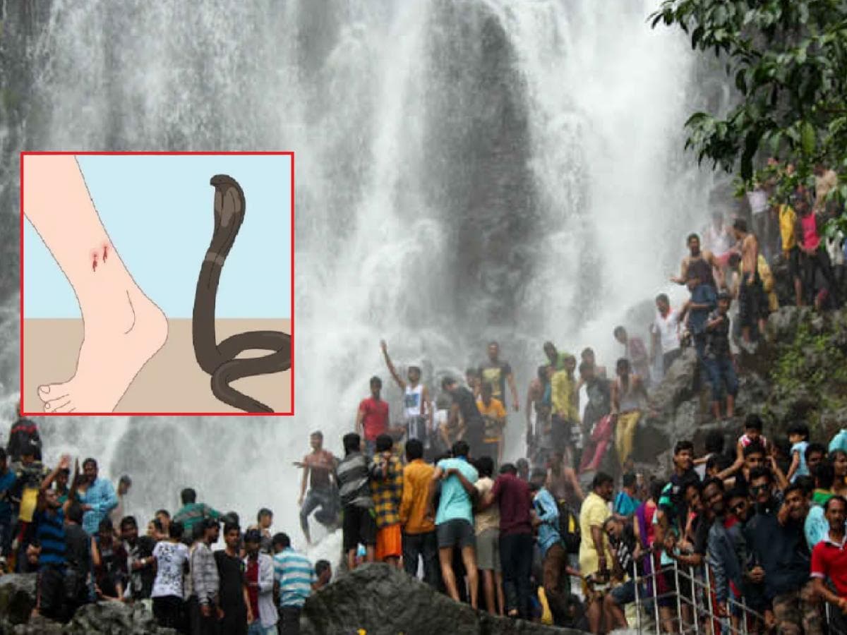 Tragic Incident in Amboli: कर्नाटकमधील पर्यटकाचा सर्पदंशामुळे मृत्यू