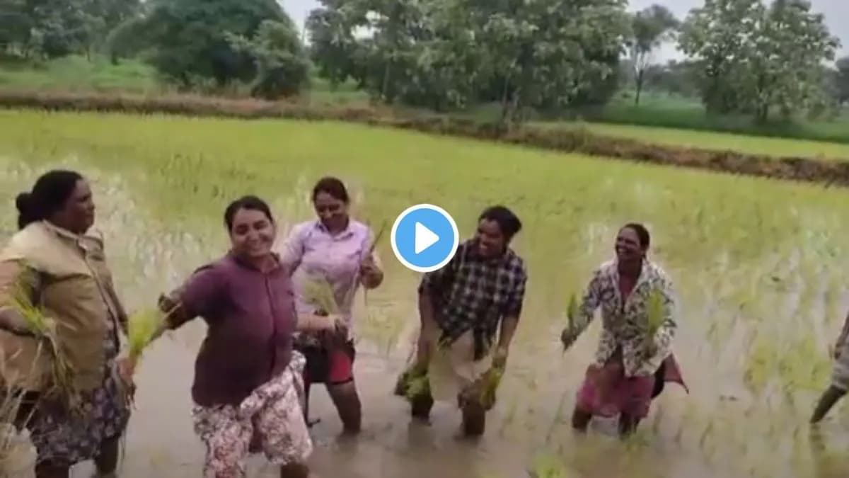 Viral Dance Video: महिलांचा आनंददायी नृत्य व्हिडिओ सोशल मीडियावर चर्चेत