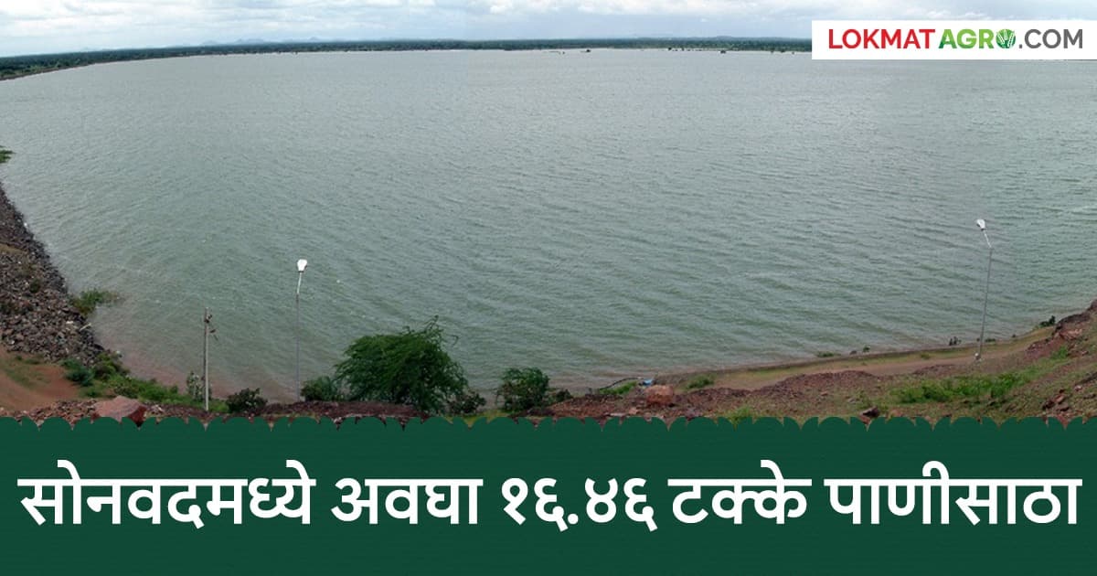 Water Storage in Dhule District:धुळे जिल्ह्यातील मोठे, मध्यम व लघु प्रकल्पांच्या जलसाठ्यात वाढ