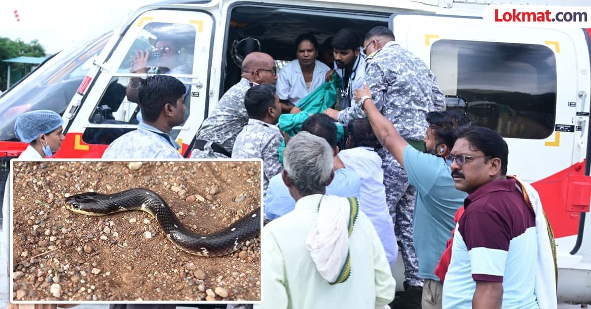 Snakebite in Ashram School:आश्रमशाळेत सर्पदंशाने तीन विद्यार्थिनींचा मृत्यू