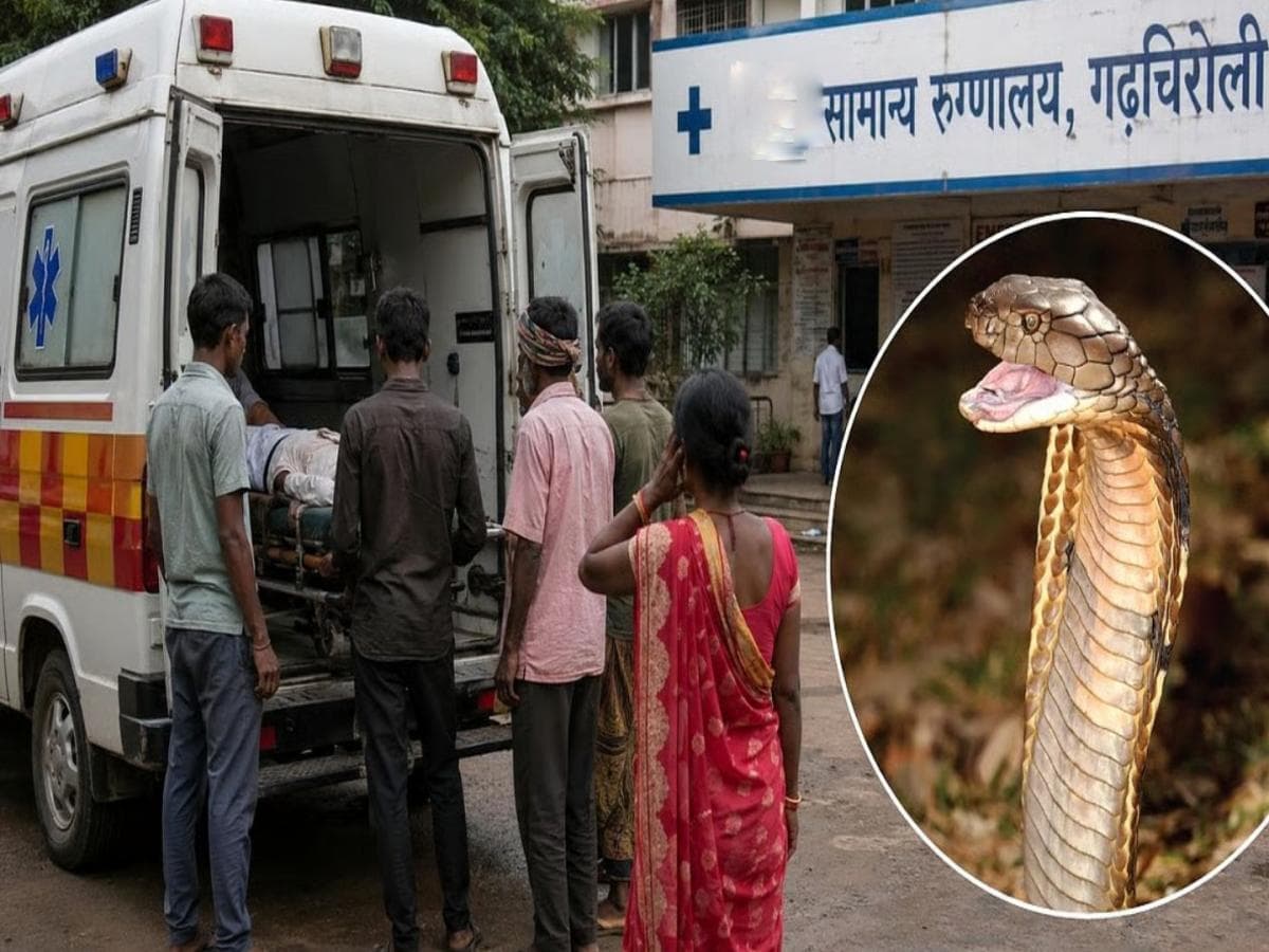Tragic Snake Bite Incident: आदिवासी दिनी सहा विद्यार्थिनींना सर्पदंश; तिघींचा मृत्यू